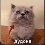 Саня Горловина