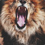 Daniel .D e r e n.