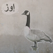 Goose - steam id 76561197961352117