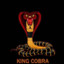 king_cobra