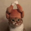 catdog