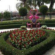 holle_91 - steam id 76561197964485102