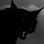 aoxofwar