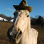 Hors