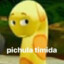 Pichula Timida