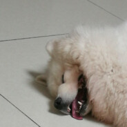 她说戴了不算给