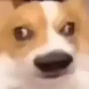 网瘾少年史珍香