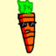 Awesome_Carrot