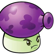 🟣🟣🟣🟣🟣🟣