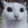 imTempered