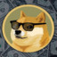 DogeCoin