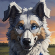 WindyTheCollie