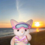 雾里雾嘟敲打八