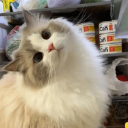 ୨୧ Banned hacker lol