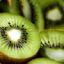 kiwifruit