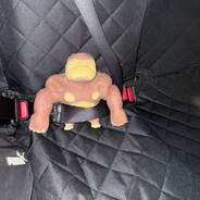 Fotograf - steam id 76561199166852282