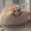 EpicHampter