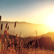 天大地大不如苏大