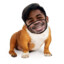 MannyBullDog