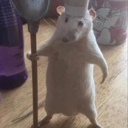 Monkey avatar