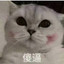 然ovo