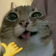 meow
