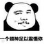 电脑玩家胖墩儿