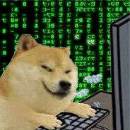 Dogsploit.py Steam avatar