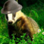 Badger