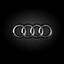 AUDI enjoyer