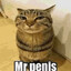 Mr. Penis