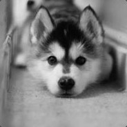 时光守护者  基兰