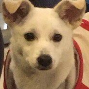 不懂就要问