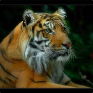 Alexandr_БЕЛЫЙ