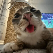 LazerDaPuppy