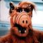 Alf!