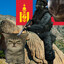 Kitten warrior