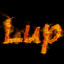 Lup