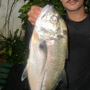 Siq ultralight