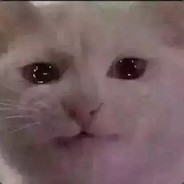 一口一个鸡你太美