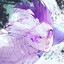 Haku