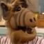 Alf