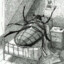 Gregor Samsa