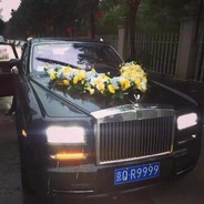 虎虎虎虎虎虎王