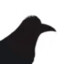 Oxferd Crow
