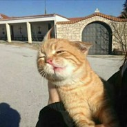 花生酱阿啊啊啊啊