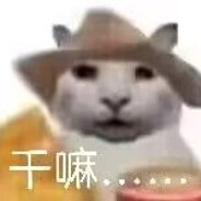 人类极限黑部奈叶香