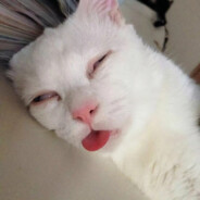 一口吃掉汉堡包