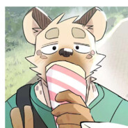 俄羅斯飛行浣熊