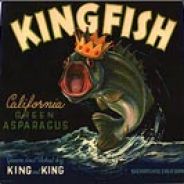 KINGFISH[AOF] - steam id 76561197961205528